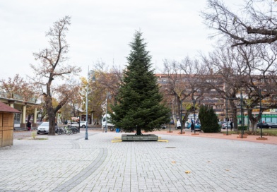 Már áll a fenyő a Kossuth téren