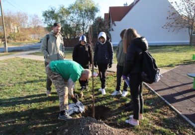 Közös jövő – közös felelősség: facsemetéket ültettek a végzős osztályok
